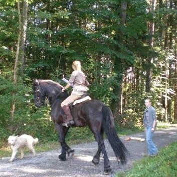 Gelaenderallye CV-Ponyfarm 2011- Stop 1 - 06