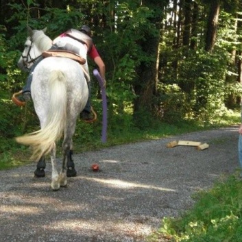 Gelaenderallye CV-Ponyfarm 2011- Stop 1 - 07