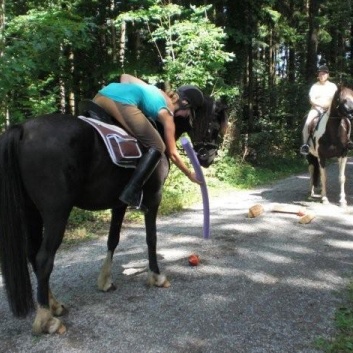 Gelaenderallye CV-Ponyfarm 2011- Stop 1 - 11