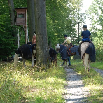 Gelaenderallye CV-Ponyfarm 2011- Stop 2 - 01