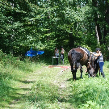 Gelaenderallye CV-Ponyfarm 2011- Stop 3 - 01