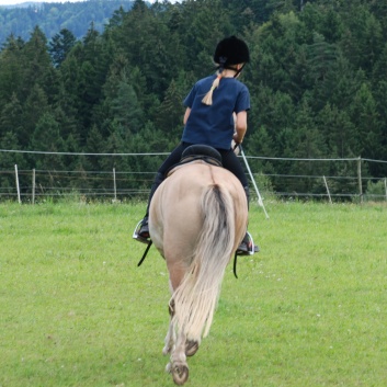 Gelaenderallye Rittigkeit CV-Ponyfarm 2011-01
