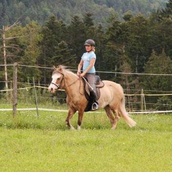 Gelaenderallye Rittigkeit CV-Ponyfarm 2011-02 Gelaenderallye Rittigkeit CV-Ponyfarm 2011-02