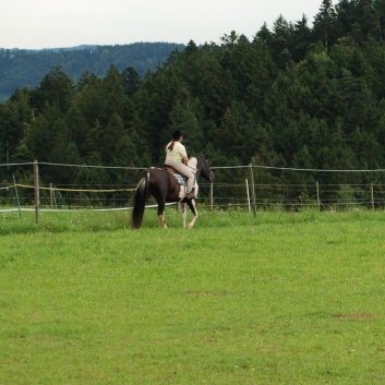 Gelaenderallye Rittigkeit CV-Ponyfarm 2011-03 Gelaenderallye Rittigkeit CV-Ponyfarm 2011-03