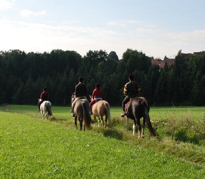 Gelnderallye-2008-02