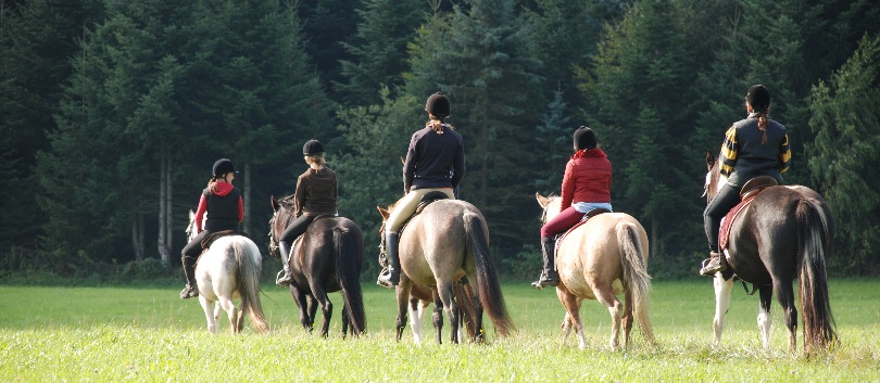 Gelnderallye-2008-03
