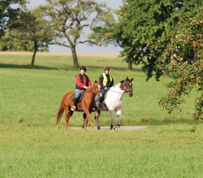 Gelnderallye-2008-04