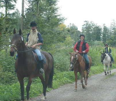 Gelnderallye-2008-06