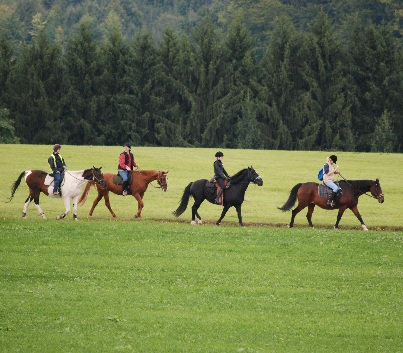 Gelnderallye-2008-07