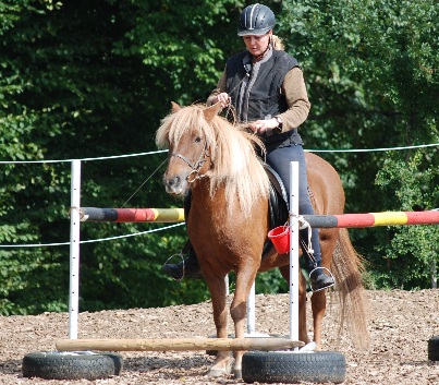 Gelnderallye-2008-09
