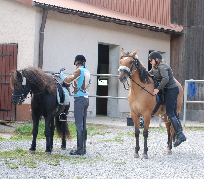 Gelnderallye-2008-12