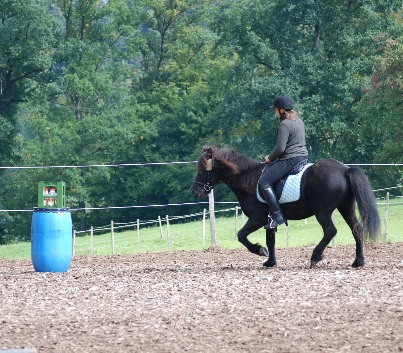 Gelnderallye-2008-16