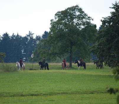 Gelnderallye-2008-20