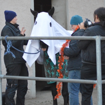 Halloween-2015-12