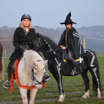 Halloween-2015-24