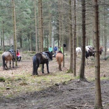 Hnsel und Gretelritt der CV-Ponyfarm 2013 - 05