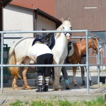 Internes Reitturnier der CV-Ponyfarm 2015 - 01