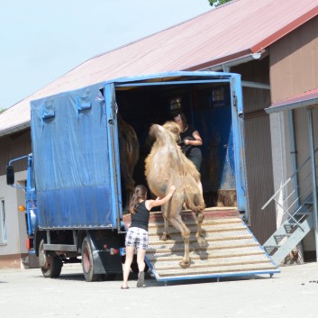 Internes Reitturnier der CV-Ponyfarm 2015 - 03