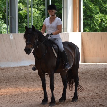 Internes Reitturnier der CV-Ponyfarm 2015 - 07