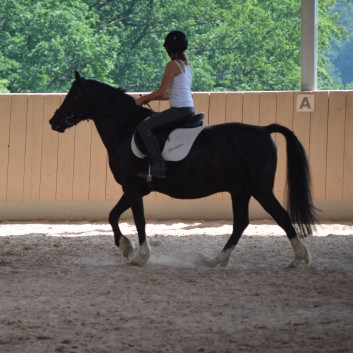 Internes Reitturnier der CV-Ponyfarm 2015 - 08