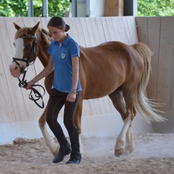 Internes Reitturnier der CV-Ponyfarm 2015 - 11