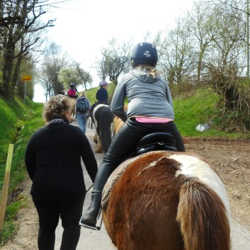 Kiddi - Treck der CV Ponyfarm im April 2018 - 01