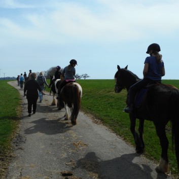 Kiddi - Treck der CV Ponyfarm im April 2018 - 05