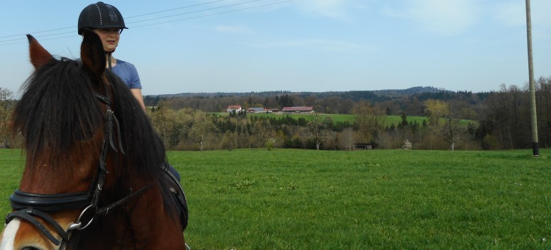 Kiddi - Treck der CV Ponyfarm im April 2018 - 06
