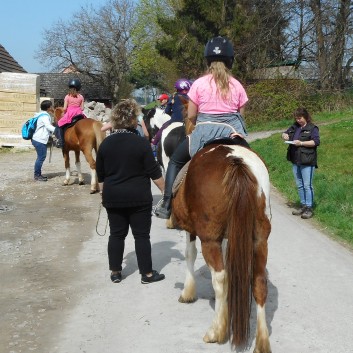 Kiddi - Treck der CV Ponyfarm im April 2018 - 08