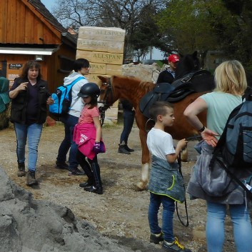 Kiddi - Treck der CV Ponyfarm im April 2018 - 09