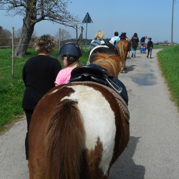 Kiddi - Treck der CV Ponyfarm im April 2018 - 10
