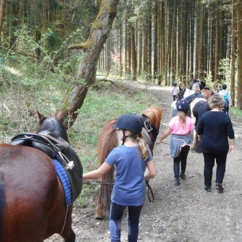 Kiddi - Treck der CV Ponyfarm im April 2018 - 11