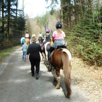 Kiddi - Treck der CV Ponyfarm im April 2018 - 12
