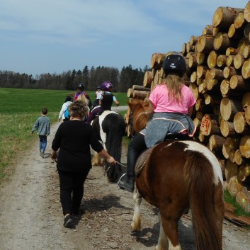 Kiddi - Treck der CV Ponyfarm im April 2018 - 14