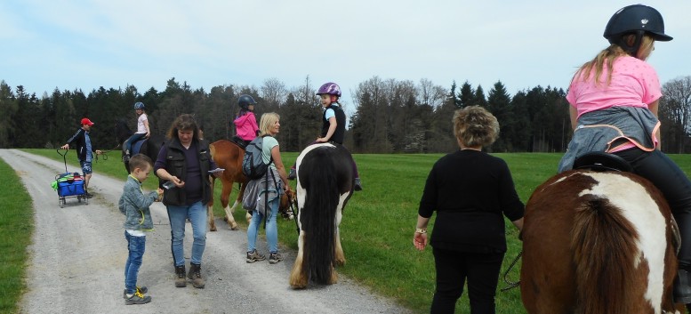 Kiddi - Treck der CV Ponyfarm im April 2018 - 15