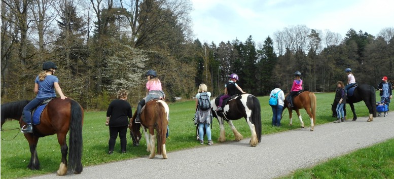 Kiddi - Treck der CV Ponyfarm im April 2018 - 16