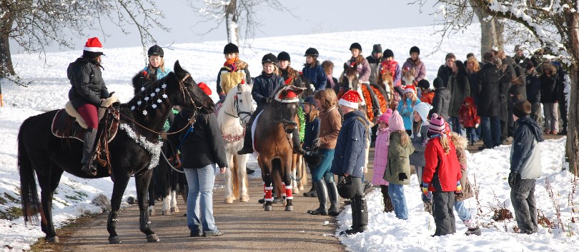 Nikolaus-2008-11