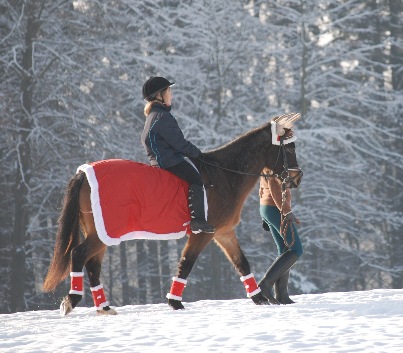 Nikolaus-2008-17