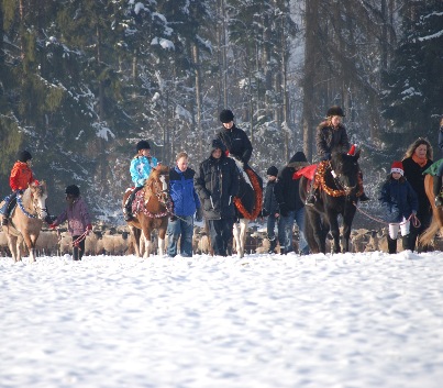 Nikolaus-2008-21