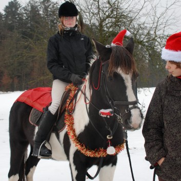 Nikolausumzug der CV-Ponyfarm im Jahr 2010 - 26