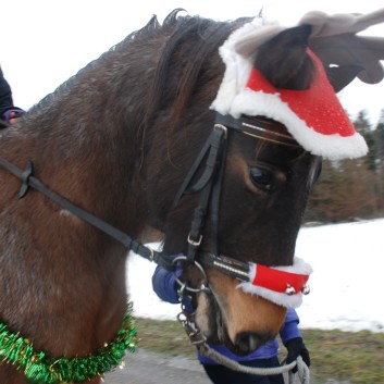 Nikolausumzug der CV-Ponyfarm im Jahr 2010 - 36