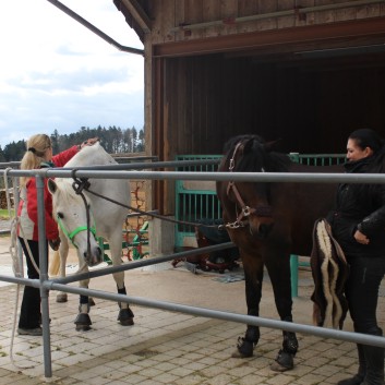 Orientierungsritt der CV Ponyfarm im April 2017 - 04