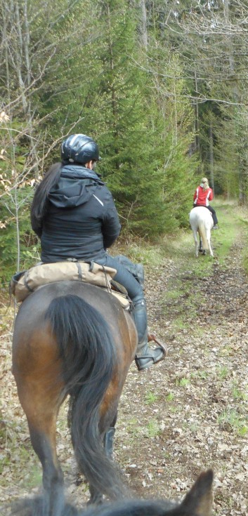 Orientierungsritt der CV Ponyfarm im April 2017 - 06
