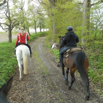 Orientierungsritt der CV Ponyfarm im April 2017 - 08