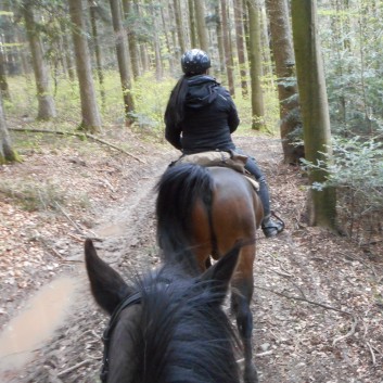 Orientierungsritt der CV Ponyfarm im April 2017 - 10