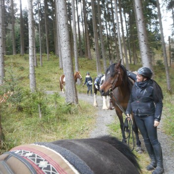 Orientierungsritt der CV Ponyfarm im April 2017 - 11