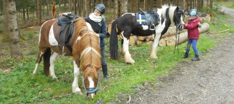 Orientierungsritt der CV Ponyfarm im April 2017 - 20
