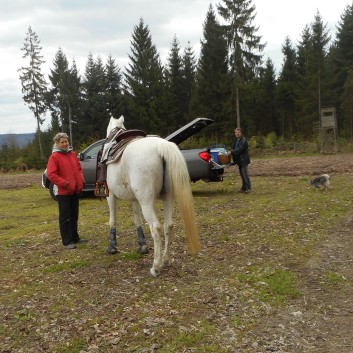 Orientierungsritt der CV Ponyfarm im April 2017 - 21