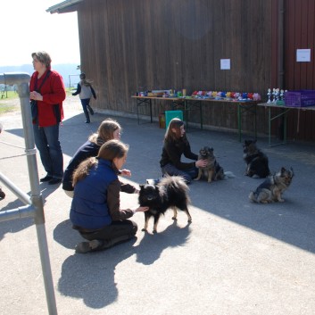 Ostereiersuche auf der CV-Ponyfarm April 2010 - 02