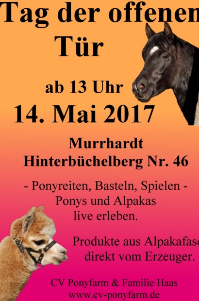 Plakat-Tag-der-offenen-Tuer-2017 gross